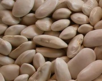 kidney beans